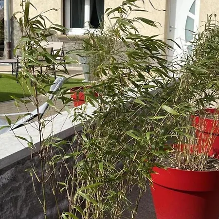 Moderne 3 Epis A Cognat-lyonne, 6 Pers, Charme Et Confort - Fr-1-489-566 *